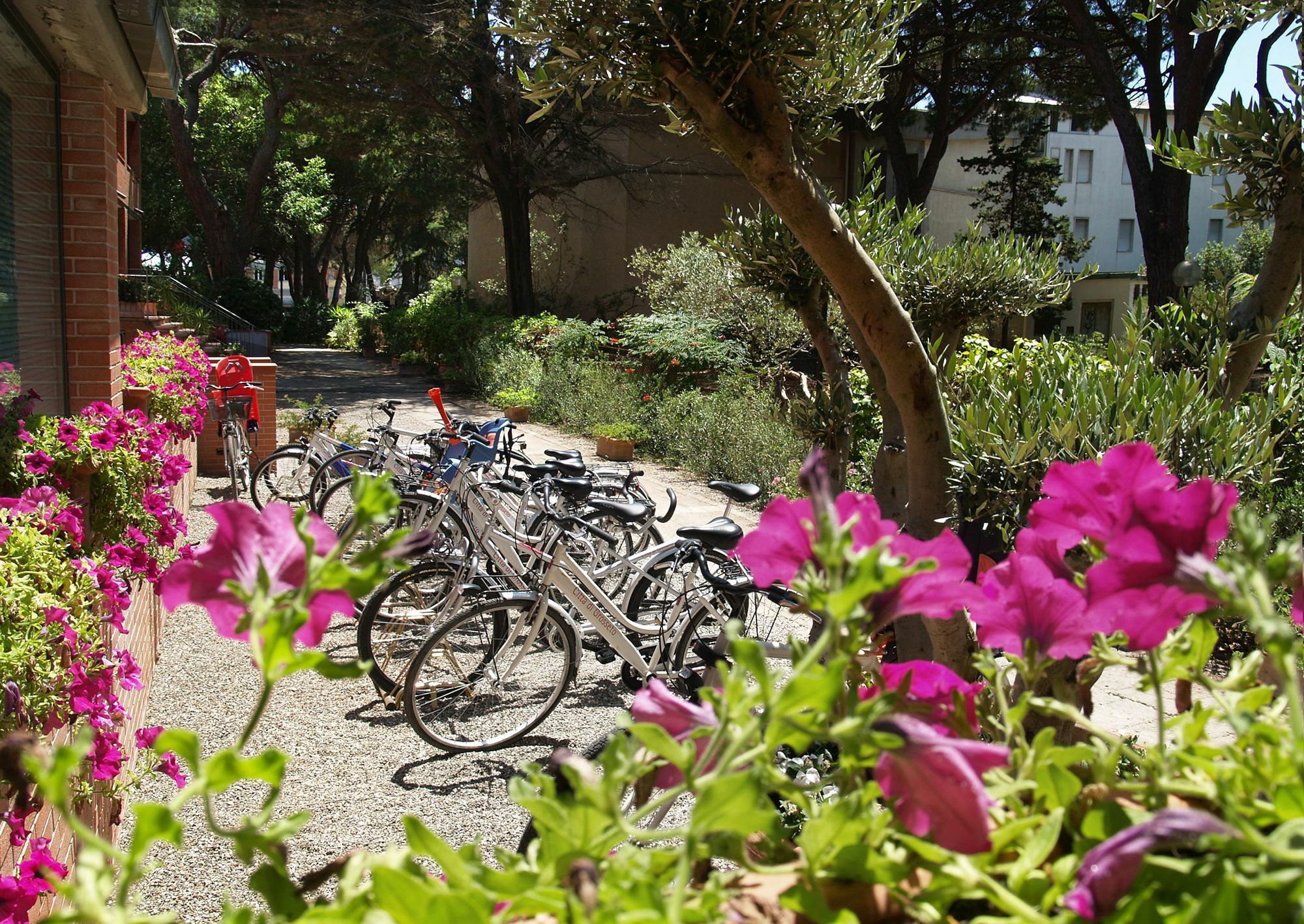 Ricci Hotel - Marina Di Grosseto Exteriér fotografie